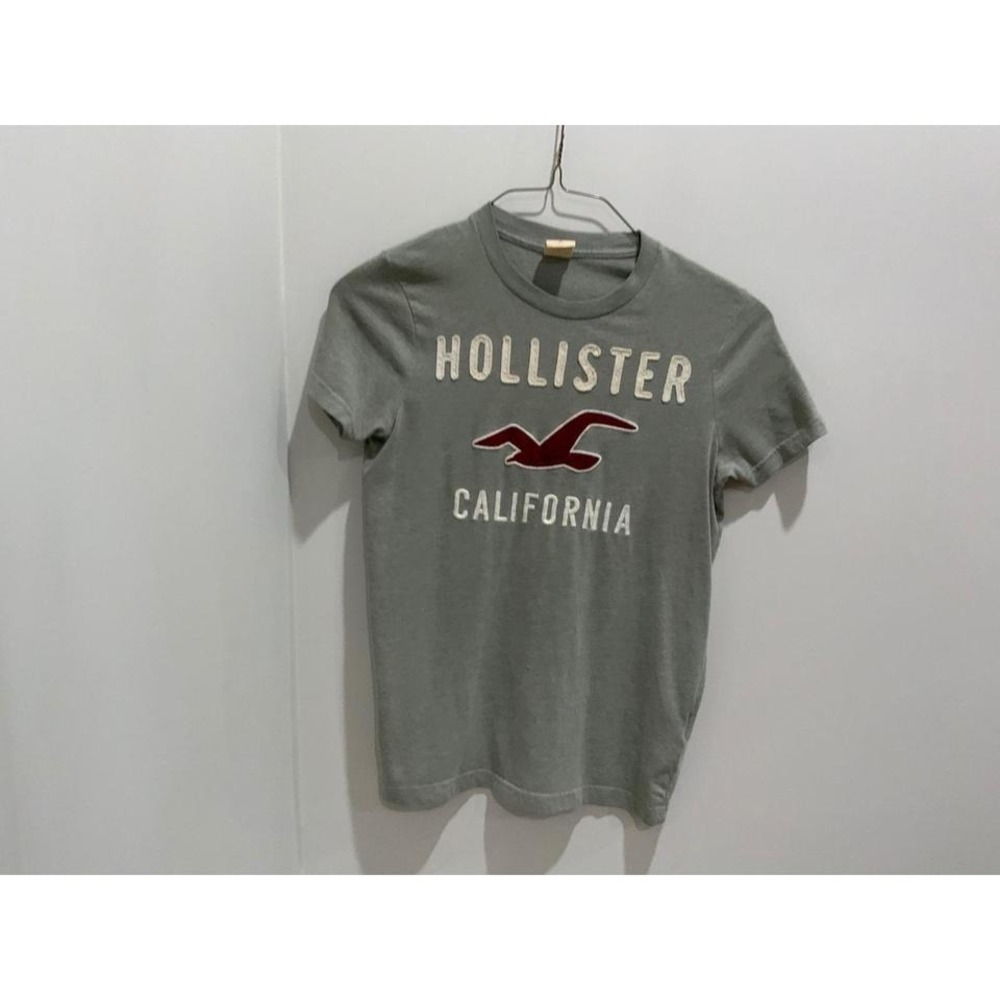 Hollister California Graphic T-Shirt Mens Small Gray Applique Logo Seagull Short